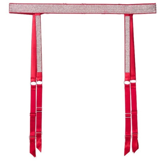 Victoria Secret Shine Strap Garter Belt - Picture 3 of 3